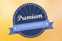 دامنه ویژه یا Premium Domain چیست؟